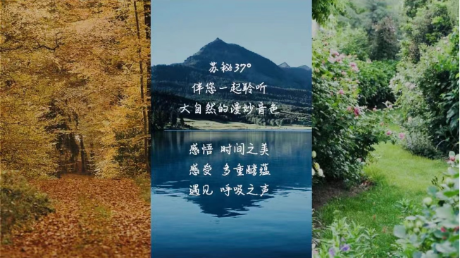 【新闻稿】苏秘37°正式发布“呼吸之声”，引领探索护肤领域“自然力”(1)295